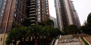 真实体验 深圳电动汽车充电桩现况