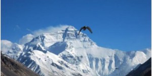 福特撼路者柴油国五已出 动力澎湃远超普拉多