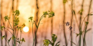 春分至 和福特撼路者一起采春风 尝春味