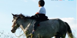 年度精品纪录片《香巴拉深处》开播 越野世家深入藏区护航文化传承