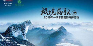 走进雪豹世界 一汽丰田雪豹守护行动再度启航