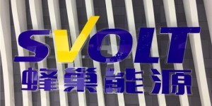 发布多款重磅产品，长城控股的蜂巢能源踏上“叠”变之路