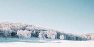 穿林海，跨雪原——哈弗H9乌兰布统之旅