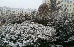 秋意浓浓雪花飘飘，你需要一辆过冬的车