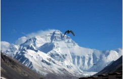 福特撼路者柴油国五已出 动力澎湃远超普拉多