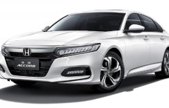 逆市上升 作为B级猛将的ta能否率军突起