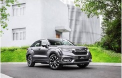 这个丰收季 让冠道来告诉你如何款待最重要的人