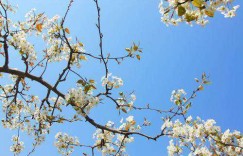 春游flag已立？北京现代全新索纳塔 插电混动伴你绿色出行无负担