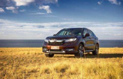 集万千宠爱于一身，Ta成开春出游最佳选择