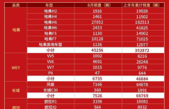 上半年累计销量近50万，长城汽车为中国品牌向上突破注入强心剂