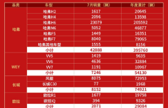 上市8年勇夺74冠 哈弗H6以绝对统治力为“神车”证言