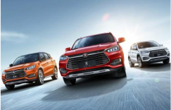 中国人保携鸿志比亚迪举办购车嘉年华